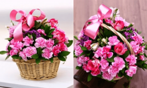 hoa tưới cho những người phụ nữ giản dị, yêu thích sự ấm cúng