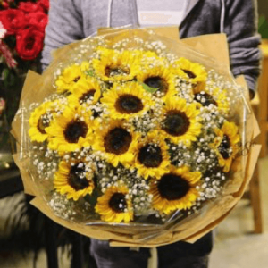 Hoa hướng dương